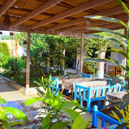 Rose Guest House Luksor Dış mekan fotoğraf