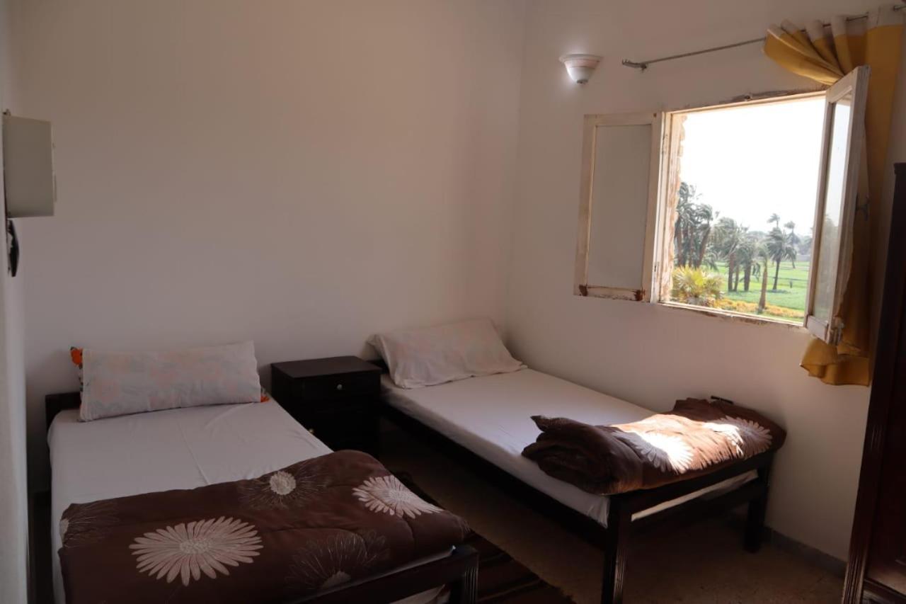 Rose Guest House Luksor Dış mekan fotoğraf