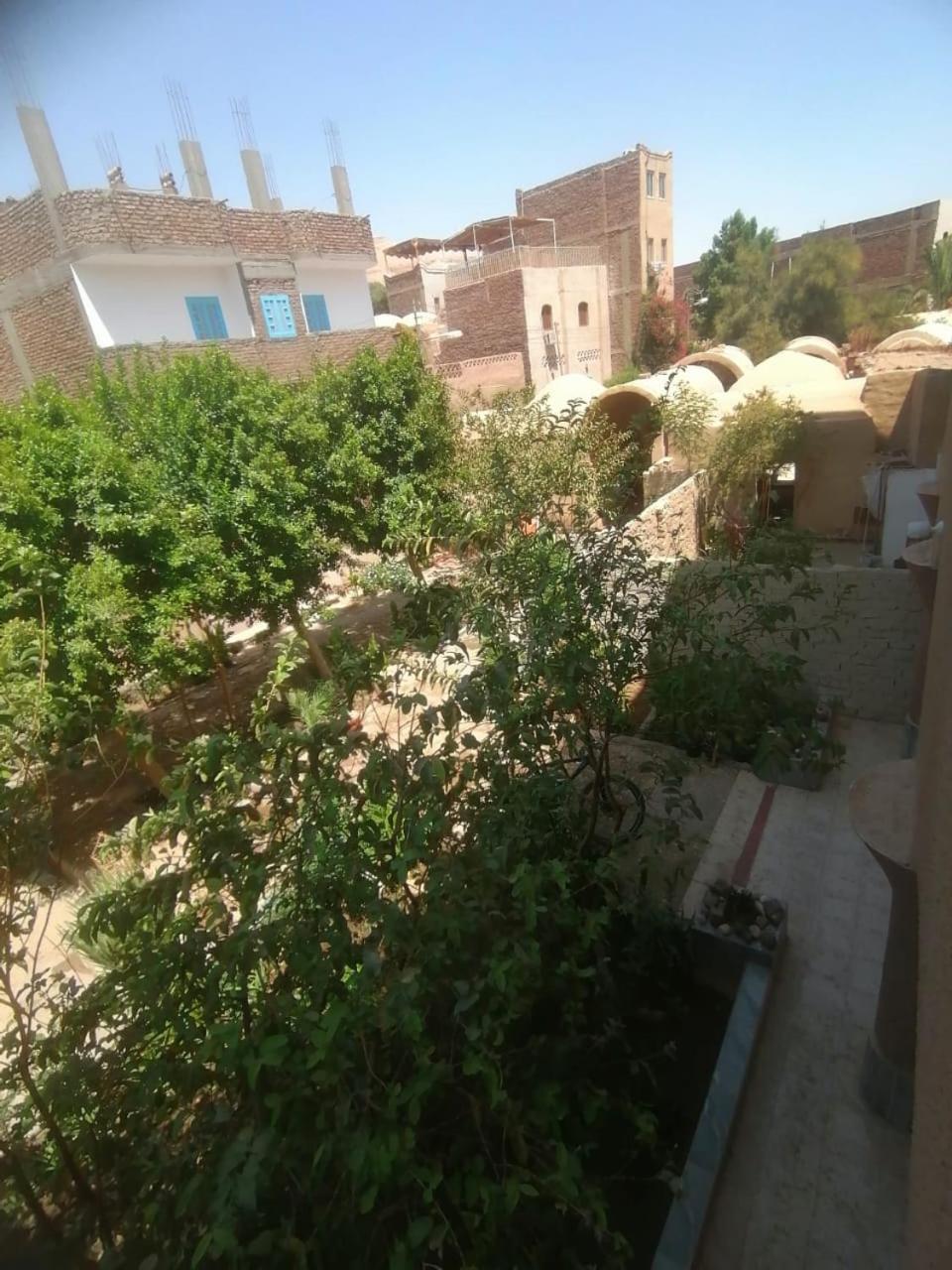 Rose Guest House Luksor Dış mekan fotoğraf