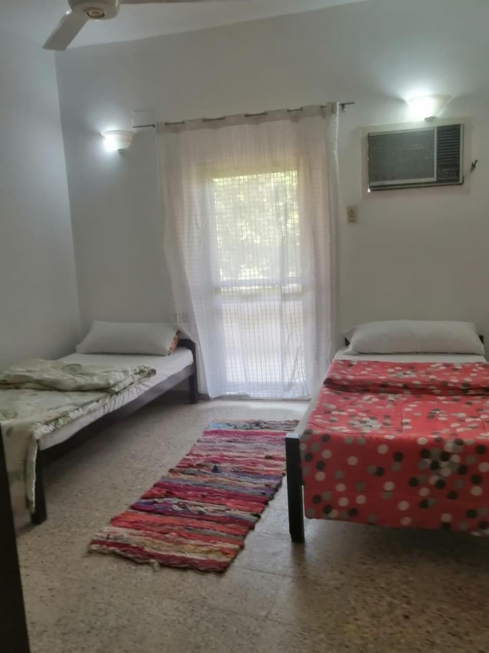 Rose Guest House Luksor Dış mekan fotoğraf