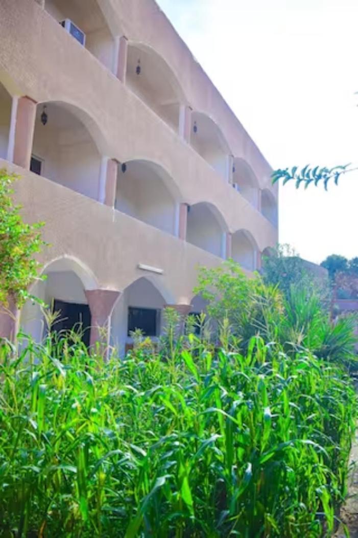 Rose Guest House Luksor Dış mekan fotoğraf
