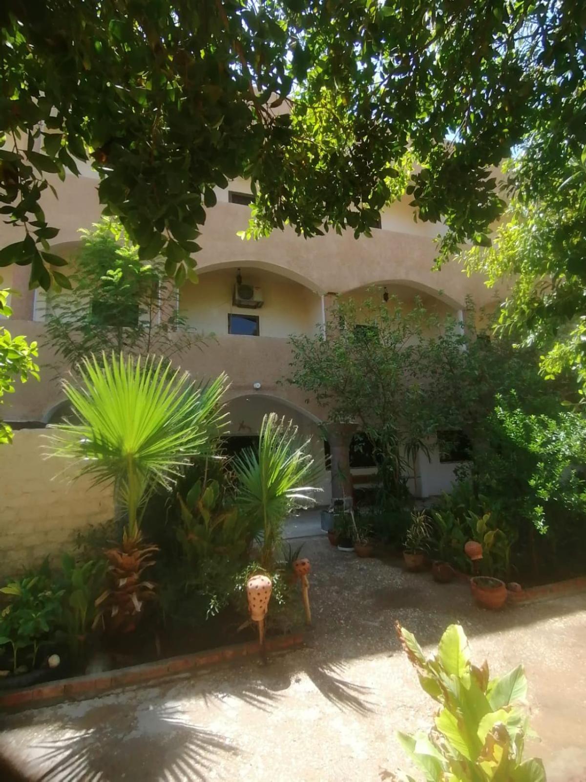 Rose Guest House Luksor Dış mekan fotoğraf