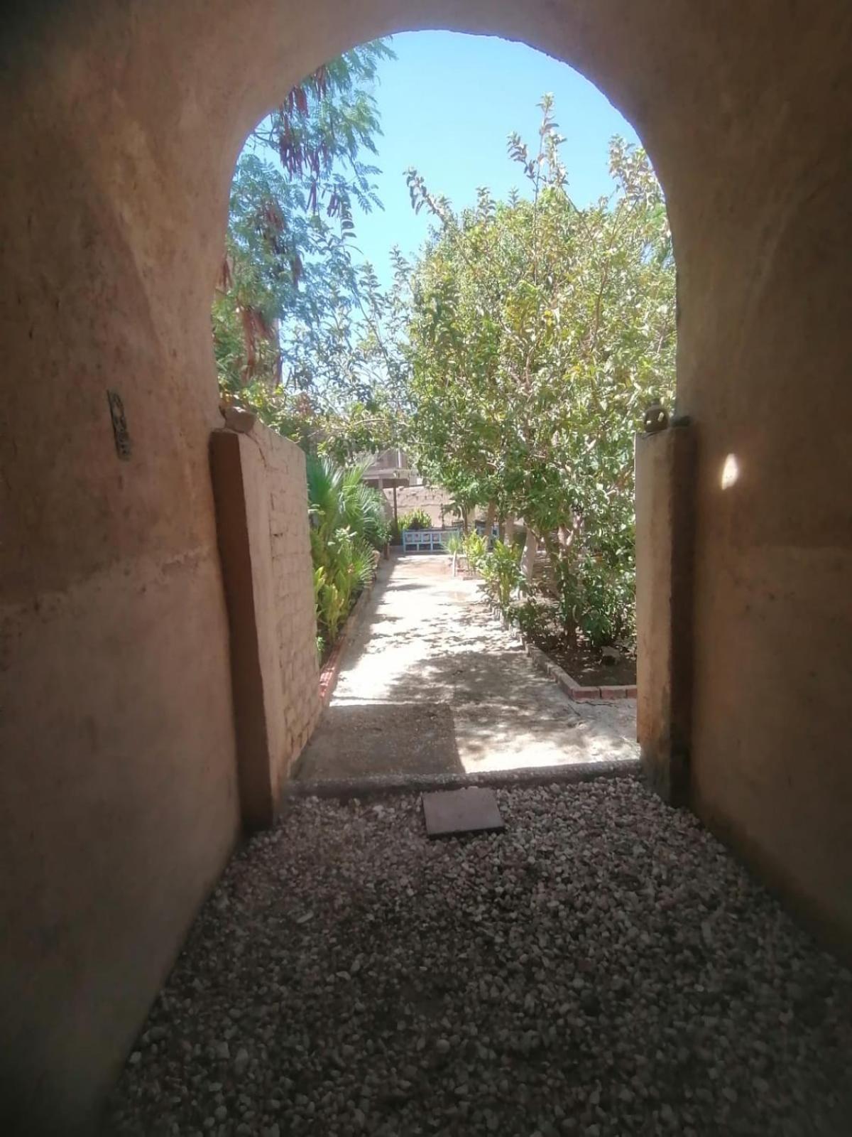 Rose Guest House Luksor Dış mekan fotoğraf