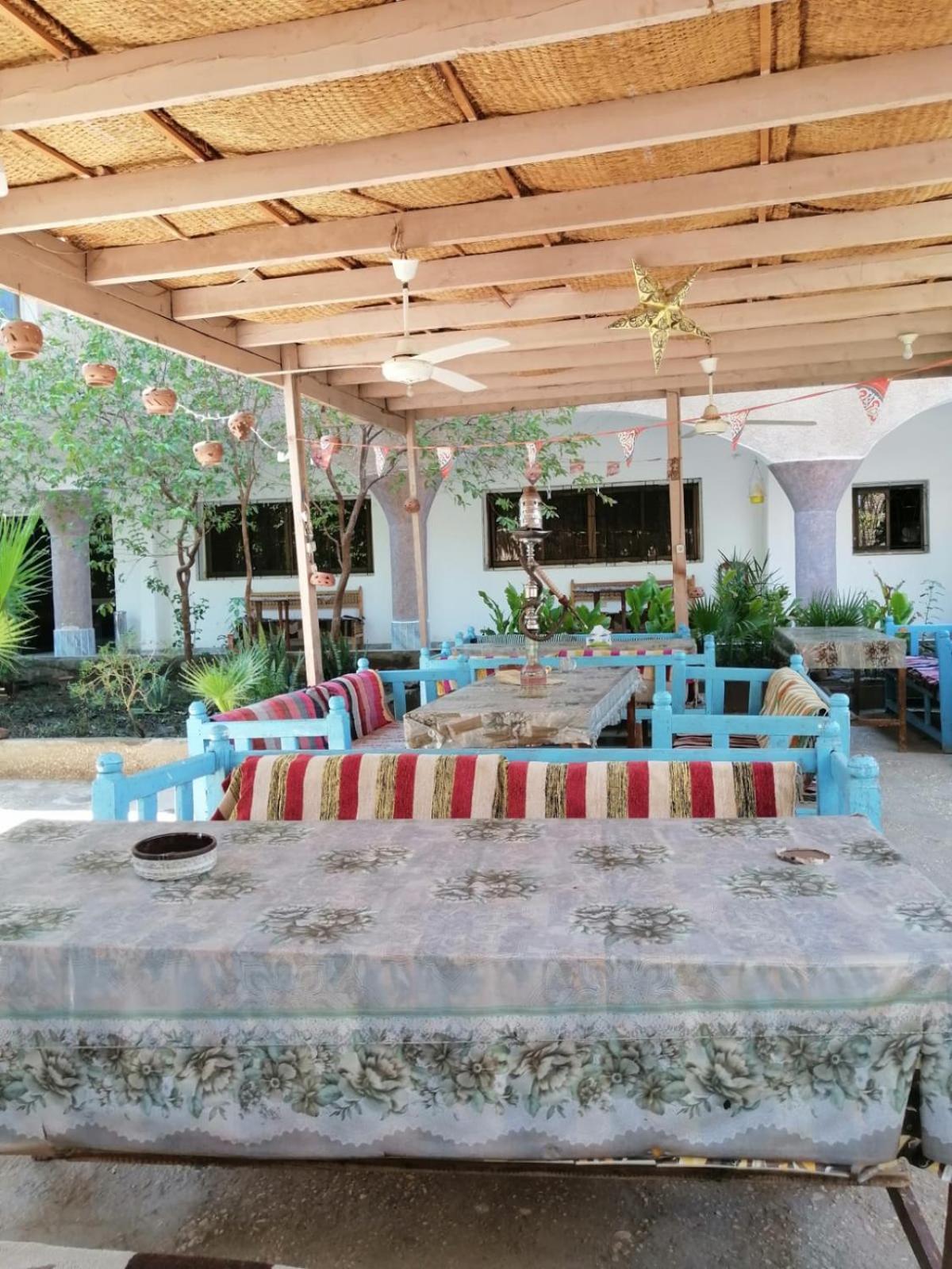 Rose Guest House Luksor Dış mekan fotoğraf
