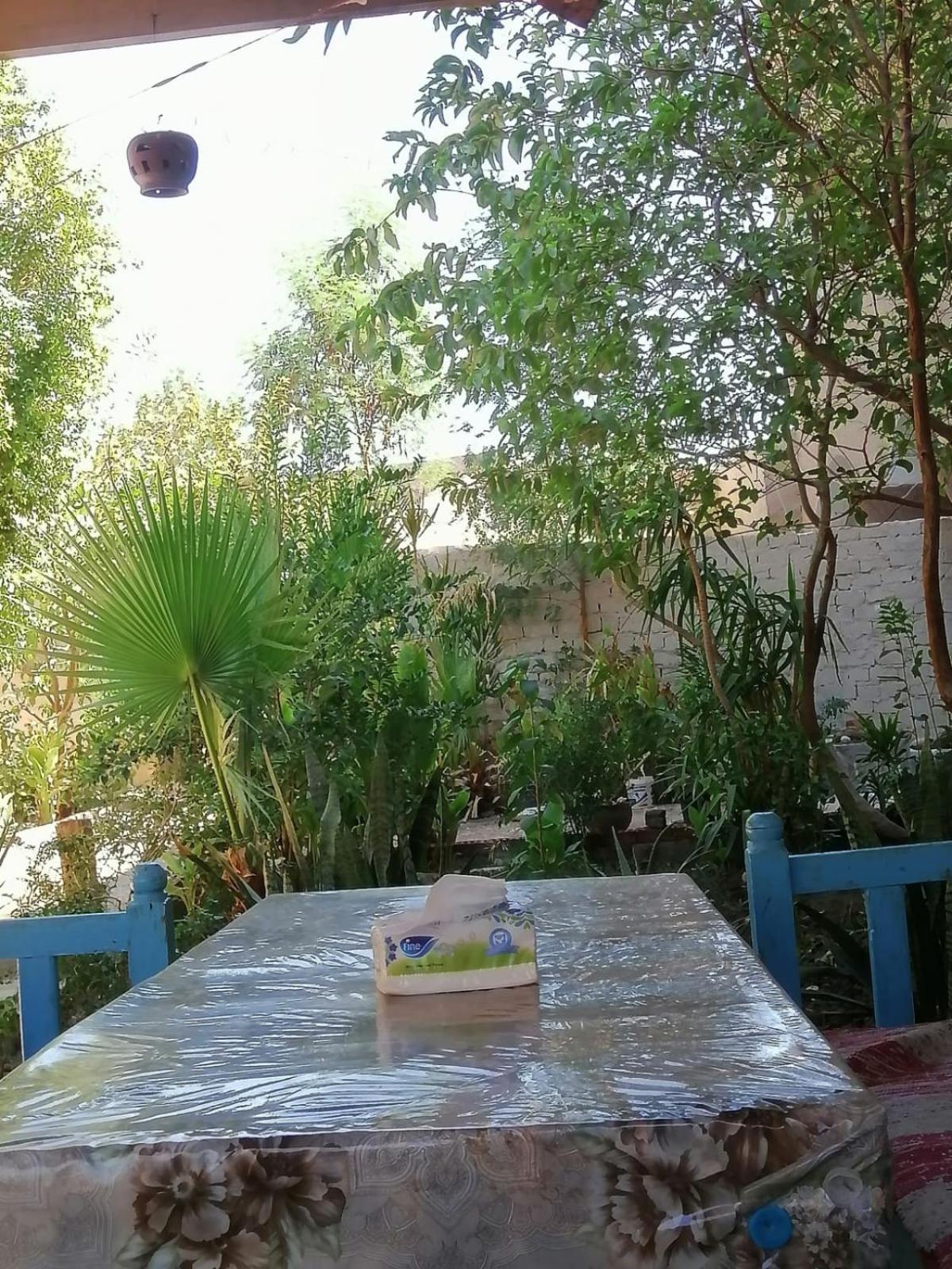 Rose Guest House Luksor Dış mekan fotoğraf