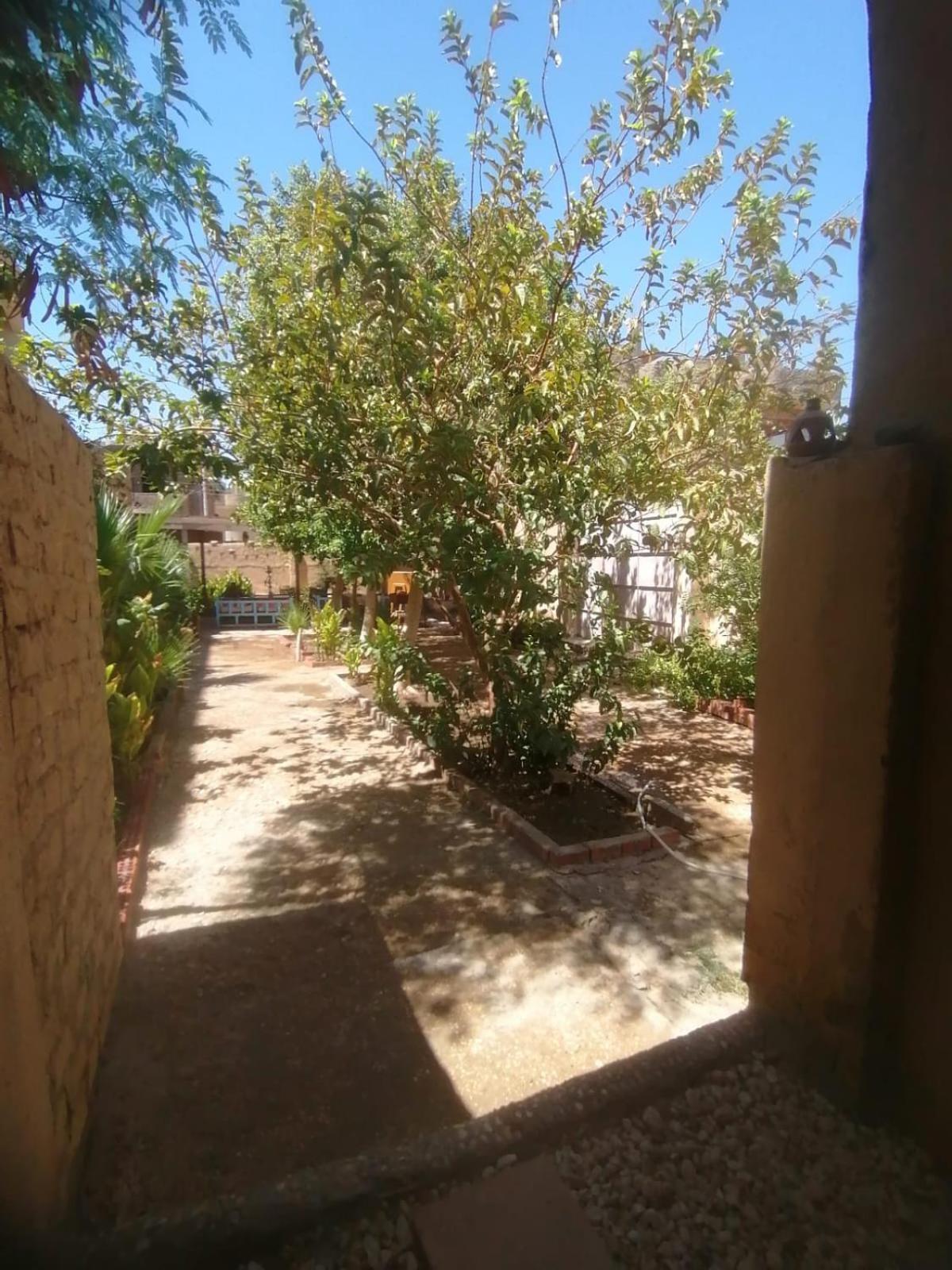 Rose Guest House Luksor Dış mekan fotoğraf