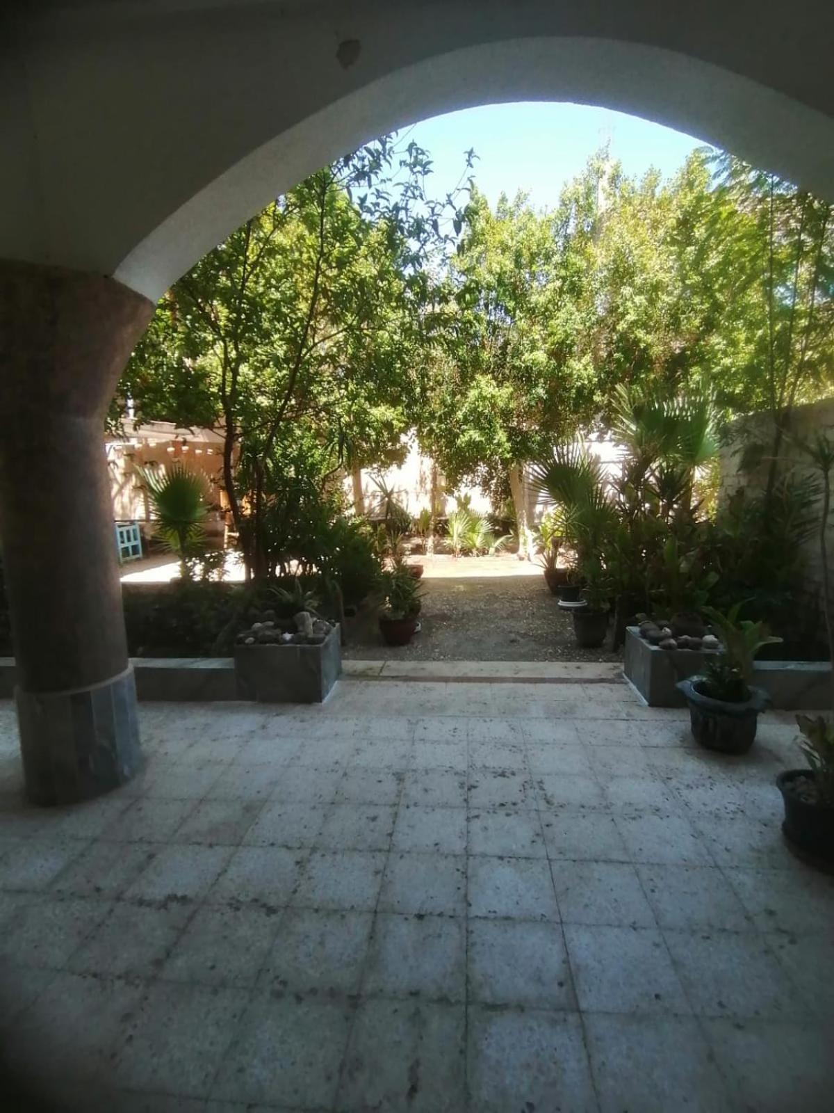 Rose Guest House Luksor Dış mekan fotoğraf