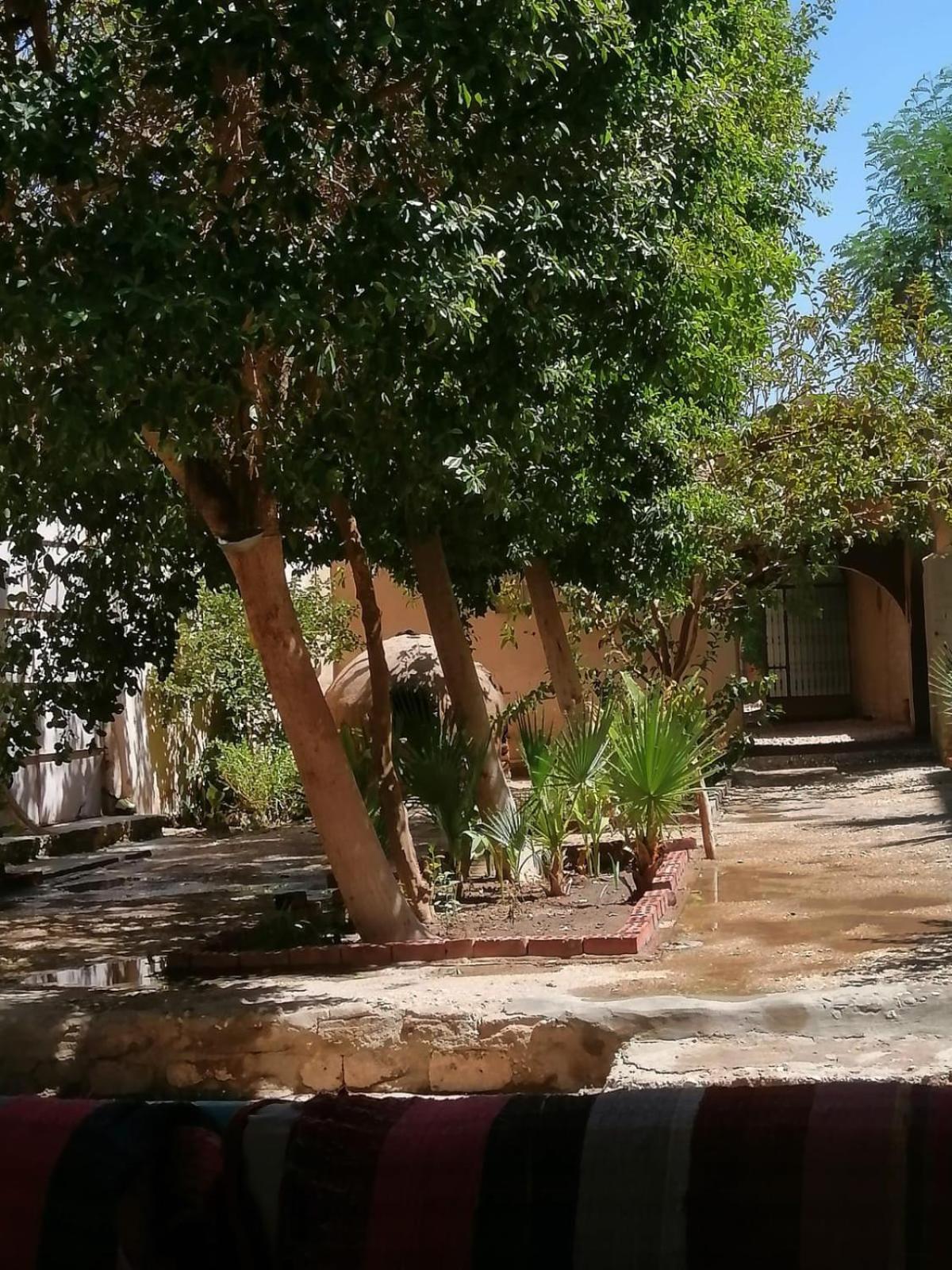 Rose Guest House Luksor Dış mekan fotoğraf