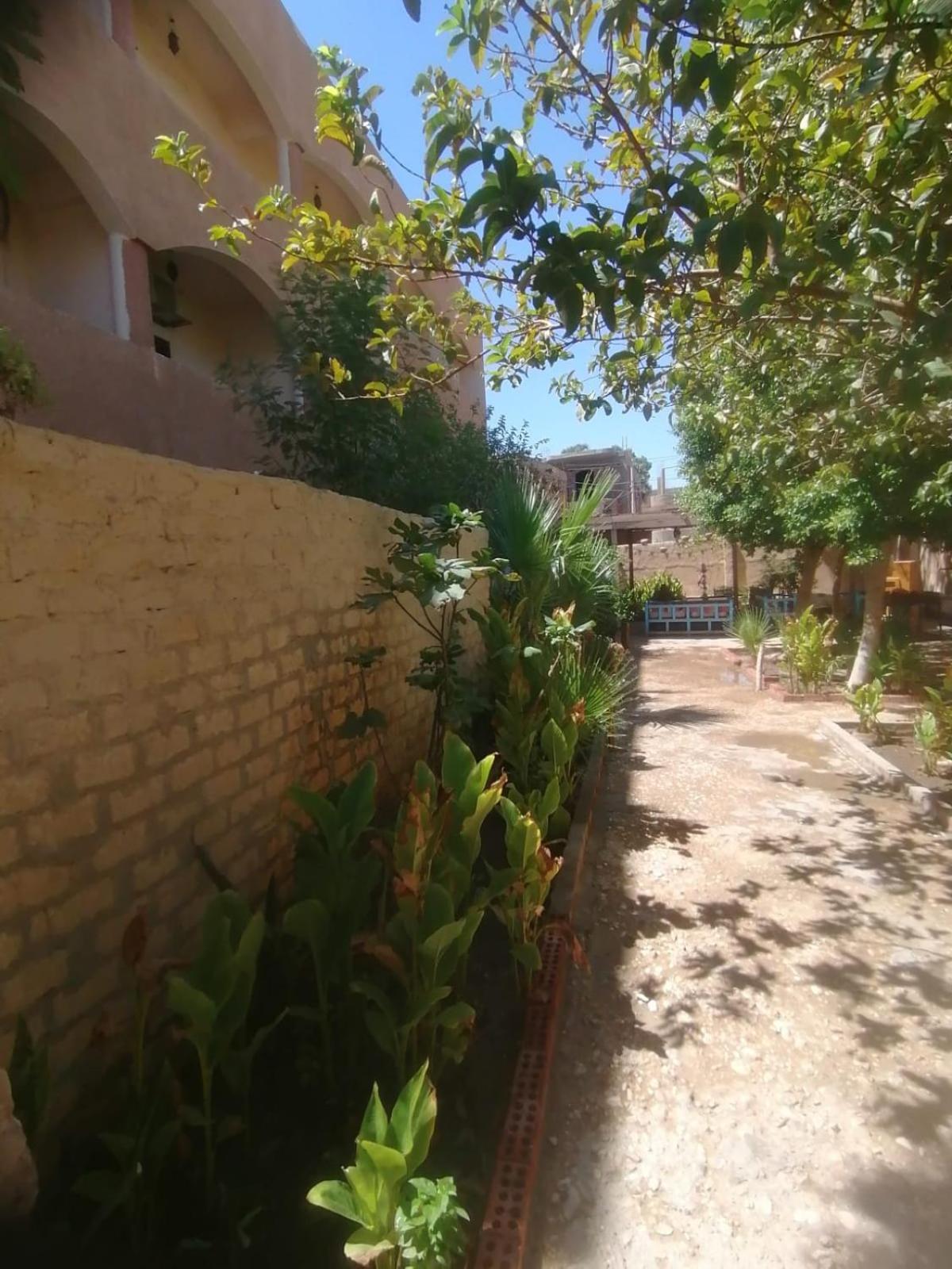 Rose Guest House Luksor Dış mekan fotoğraf