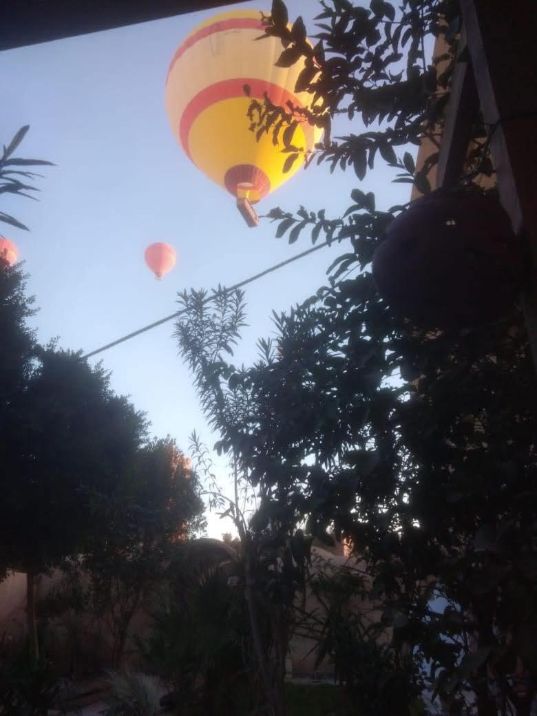 Rose Guest House Luksor Dış mekan fotoğraf
