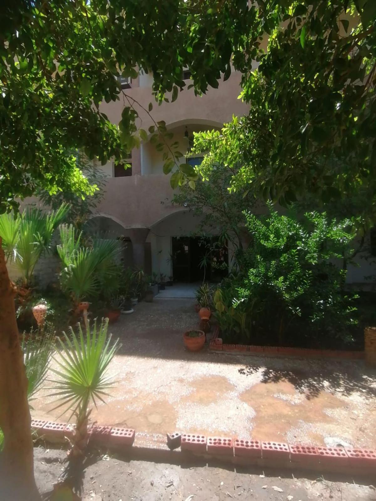 Rose Guest House Luksor Dış mekan fotoğraf