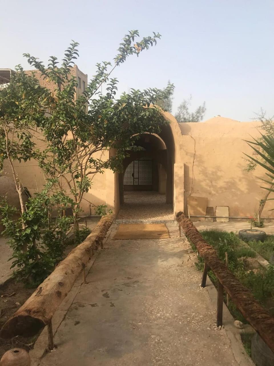 Rose Guest House Luksor Dış mekan fotoğraf