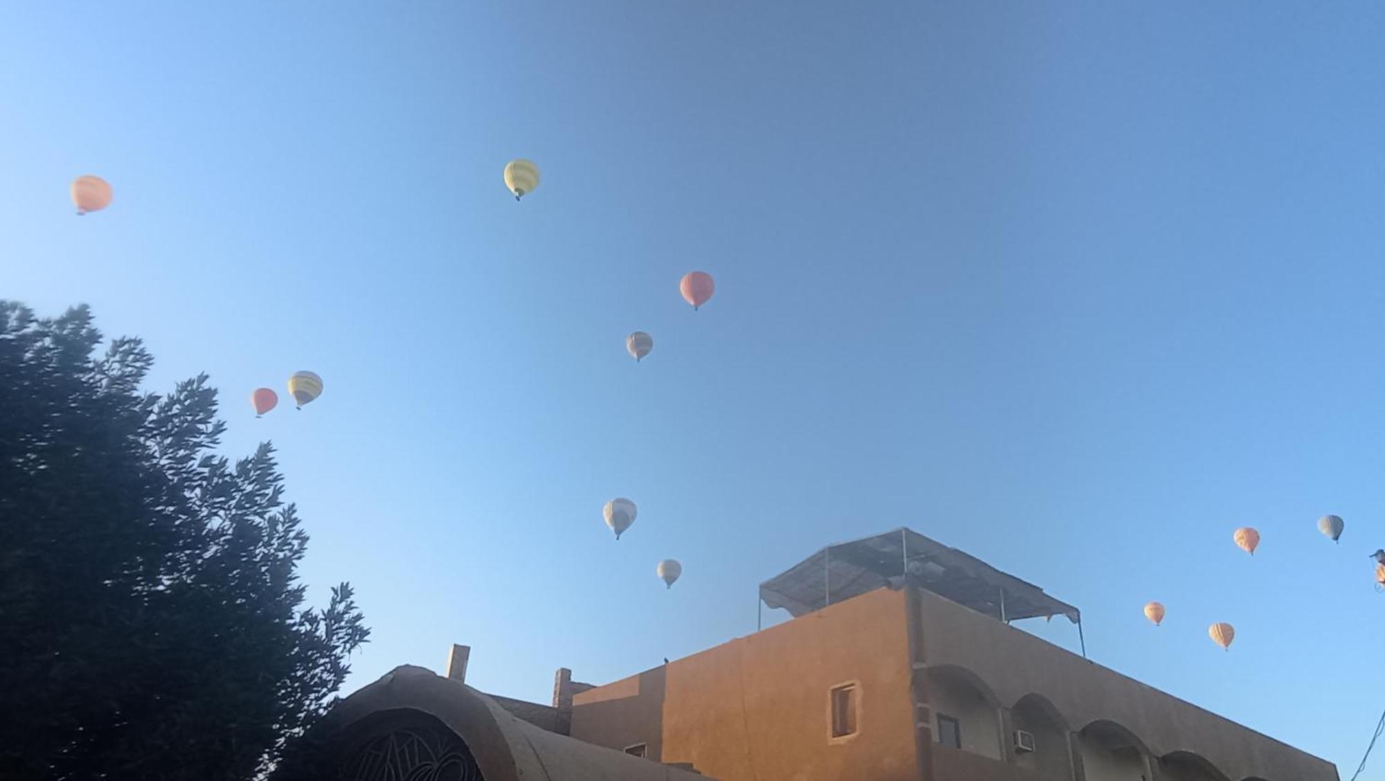 Rose Guest House Luksor Dış mekan fotoğraf